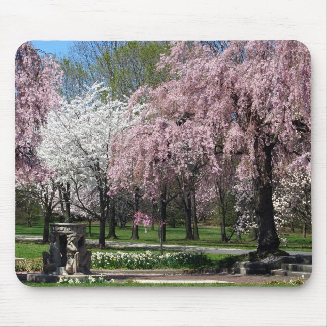 Körsbäret blomstrar i Philadelphia Mousepad Musmatta (Framsidan)