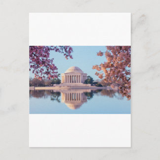 Körsbäret blomstrar i Washington DC Vykort