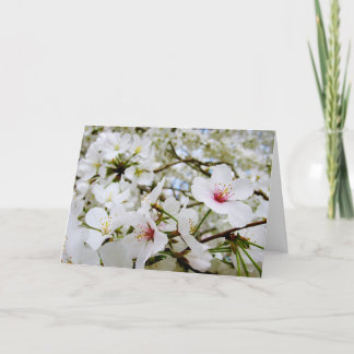 Körsbäret blomstrar kortet för sympati 5 kort