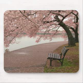 Körsbäret blomstrar Mousepad Musmatta
