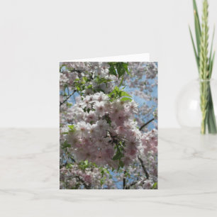 Körsbäret blomstrar nytt År-Keigo-NY Helgkort