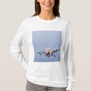 Körsbäret blomstrar på vatten tee shirt