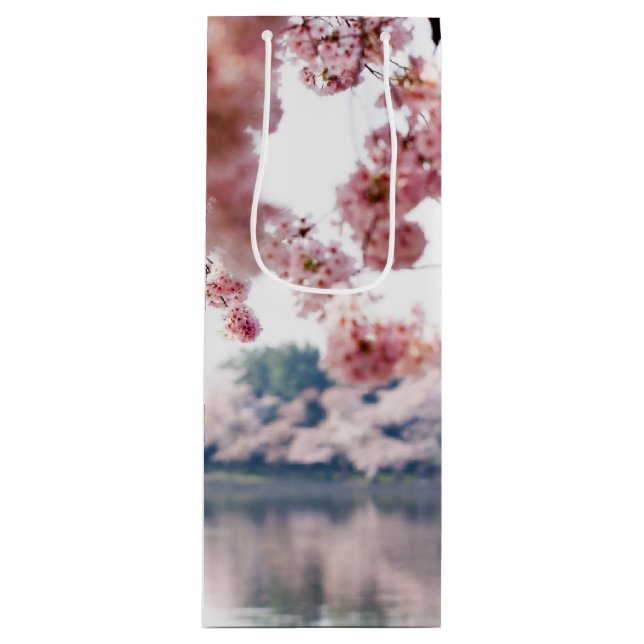 Körsbärs-Blommar (Framsidan)