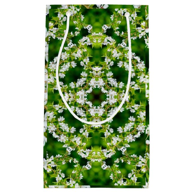 Körsbärs-Blommar (Framsidan)