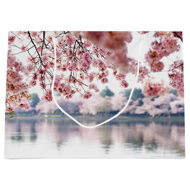 Körsbärs-Blommar (Framsidan)