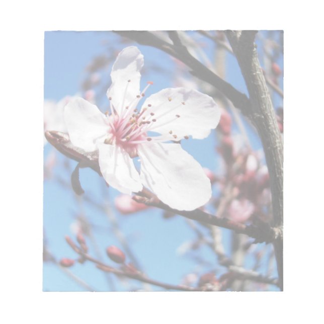 Körsbärs Blommar 2 Anteckningsblock (Framsida)