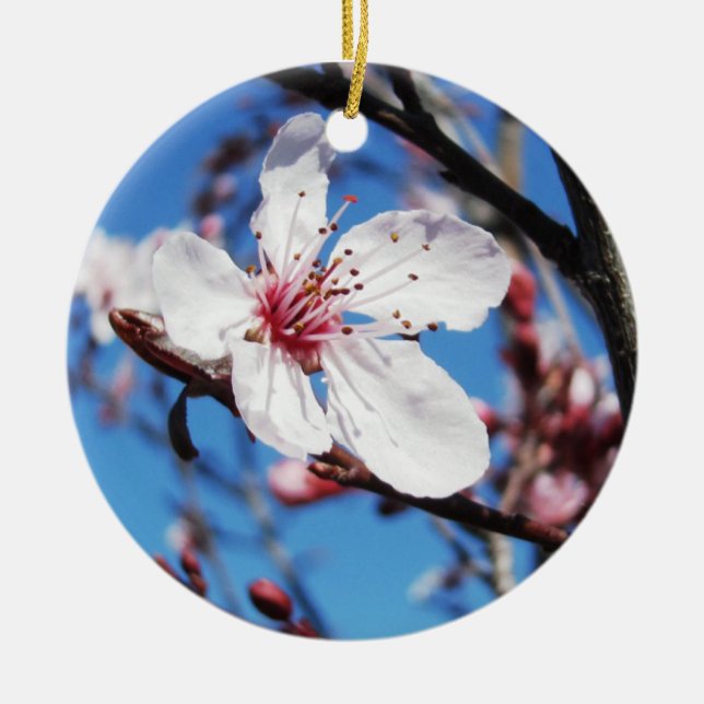 Körsbärs Blommar 2 Julgransprydnad Keramik (Framsidan)