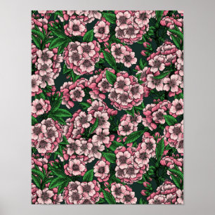 Körsbärs blommar 2 poster