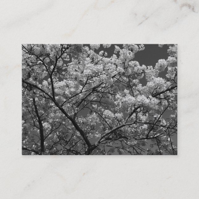 Körsbärs Blommar B&W Visitkort (Framsida)