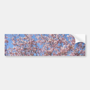 Körsbärs-Blommar Bildekal