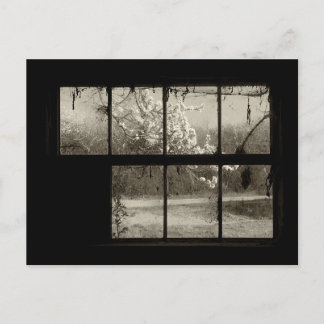 Körsbärs-Blommar genom ett gammalt Barn Window-vyk Vykort