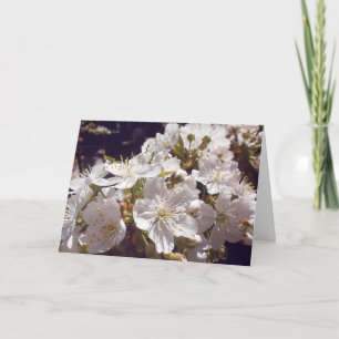 Körsbärs blommar. Glad påsk. Helgkort