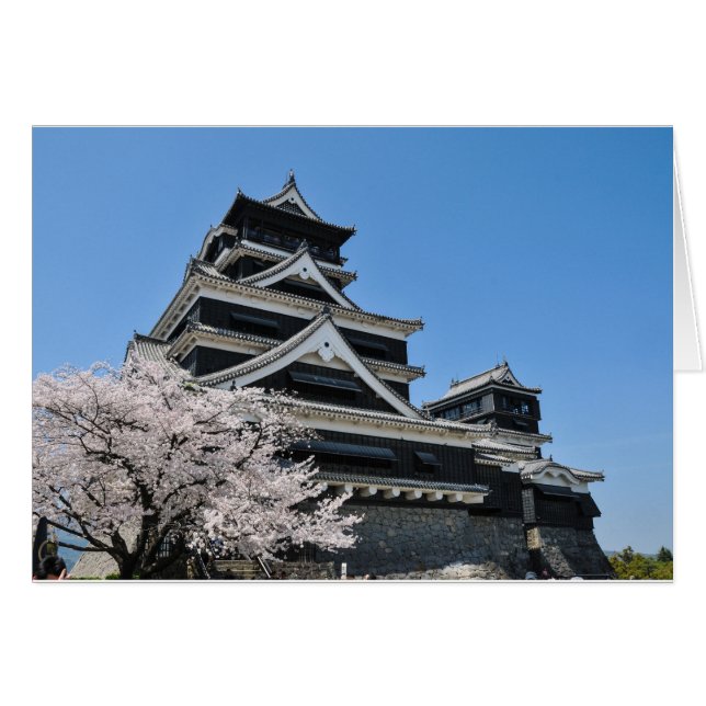 Körsbärs Blommar i Japan Hälsningskort (Framsidan Horizontal)