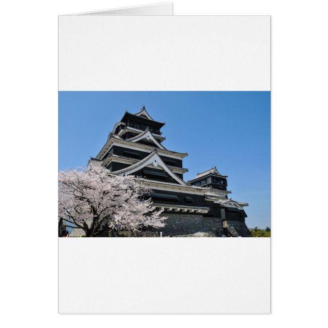 Körsbärs Blommar i Japan Hälsningskort (Framsidan)