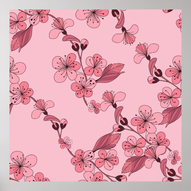 Körsbärs blommar i rosa färg på vit bakgrund. poster (Framsidan)