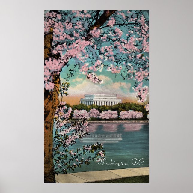 Körsbärs Blommar i Washington DC Poster (Framsidan)