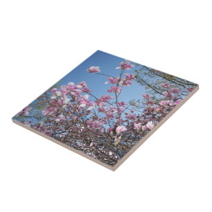 Körsbärs-Blommar Kakelplatta
