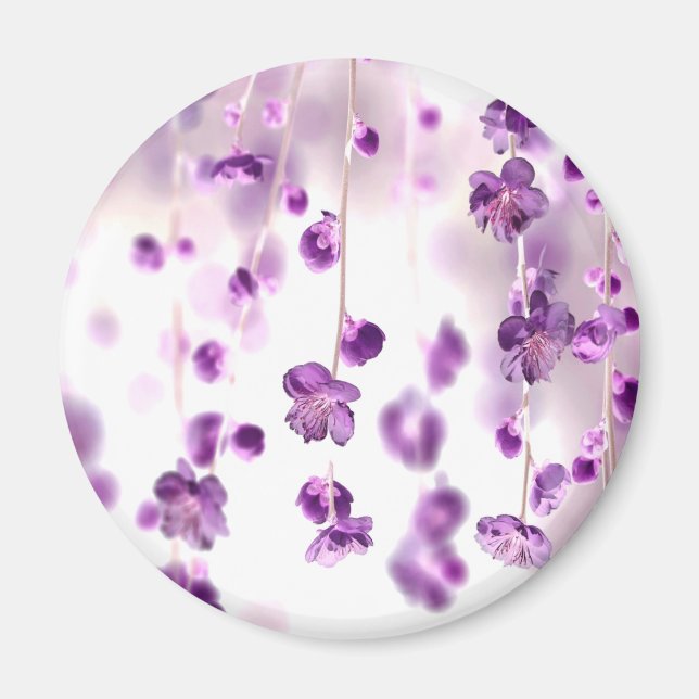 Körsbärs-blommar Magnet (Framsidan)