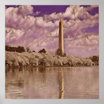 Körsbärs Blommar på Washington Monument