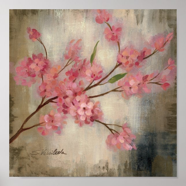 Körsbärs-Blommar Poster (Framsidan)