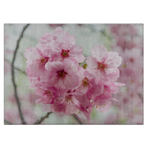 Körsbärs Blommar, Rosa Blomsterfotografi
