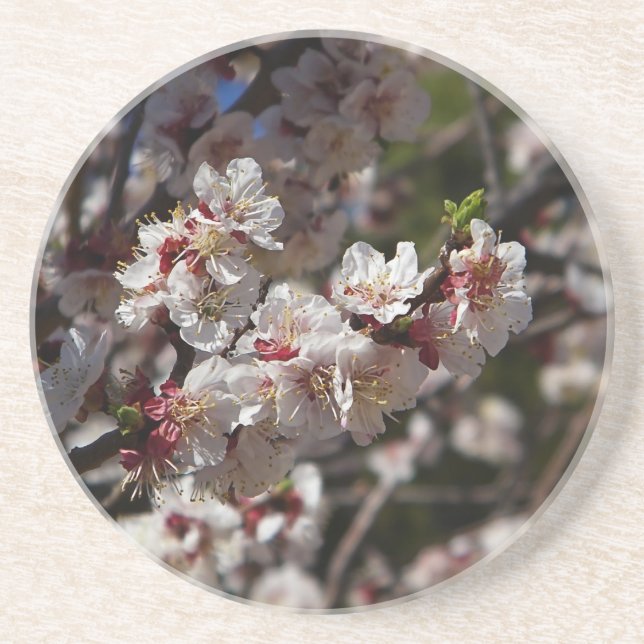 Körsbärs-Blommar Underlägg (Framsidan)