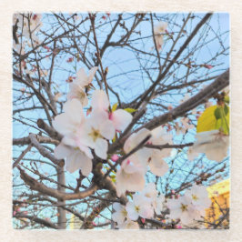 Körsbärs Blommar Underlägg