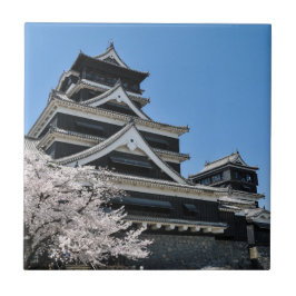 Körsbärsblom i Japan Kakelplatta