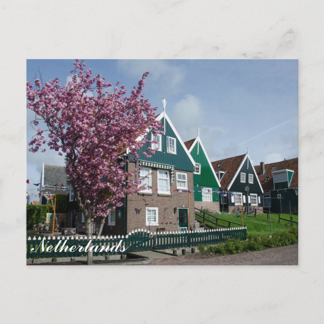 Körsbärsblom i Marken, Nederländerna Vykort (Framsida)