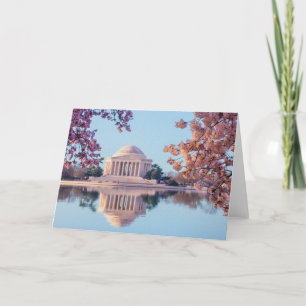 Körsbärsblom i Washington DC Kort