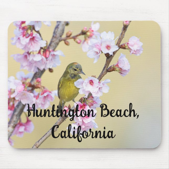 Körsbärsblom och sångare, Huntington Beach CA Musmatta (Framsidan)