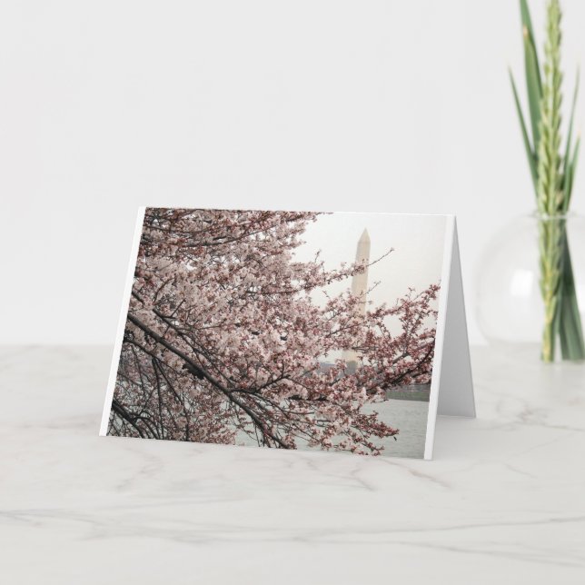 Körsbärsblom Washington DC Kort (Framsida)