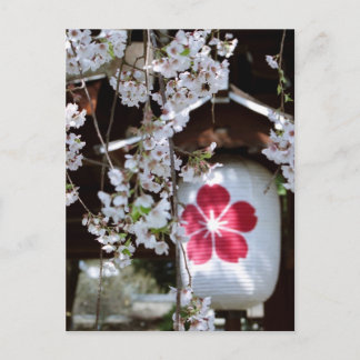 Körsbärsblomfestivalen i Kyoto Vykort
