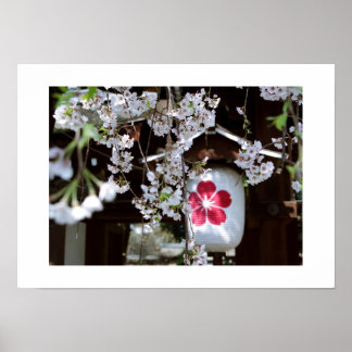Körsbärsblomfestivalen: Kyoto Poster