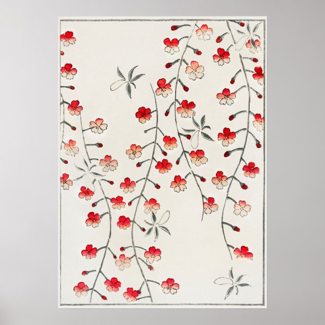 Körsbärsblomillustration. Digitalt förbättrad Poster (Framsidan)