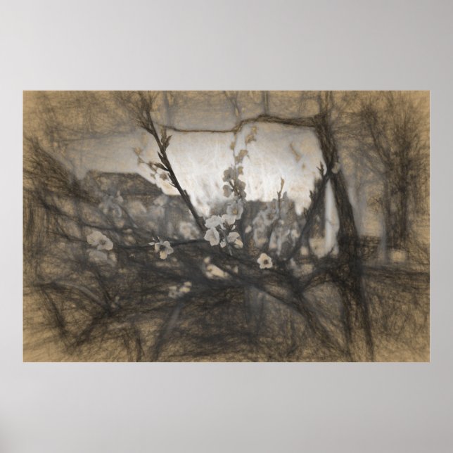 Körsbärsblomimpression Poster (Framsidan)