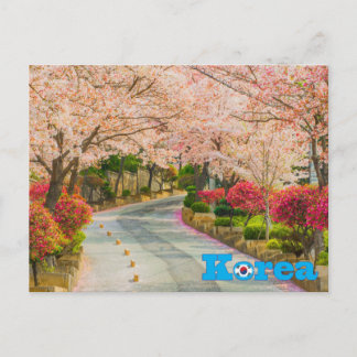 Körsbärsblommande koreansk vår vykort
