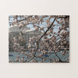 Körsbärsblommor i blom i Washington DC Pussel