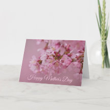 Körsbärsblommor Mors Dag Blekgul Rosa Reflektioner