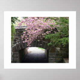 Körsbärsblommor och stenbro foto poster