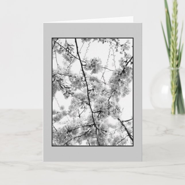 'Körsbärsblommor' svart-vit tom hälsningskort Kort (Framsida)