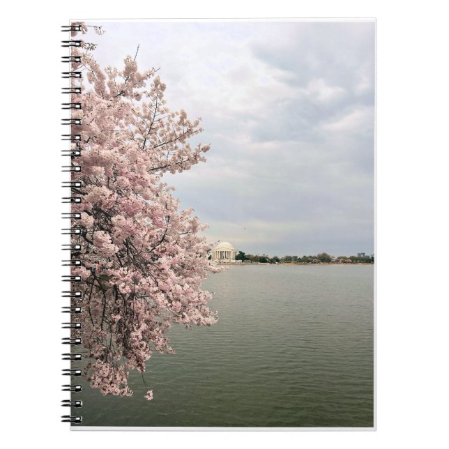 Körsbärsblommor vid Tidal Basin Anteckningsbok (Framsidan)