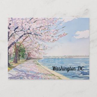 Körsbärsblommor Washington DC Tidal Basin Vykort