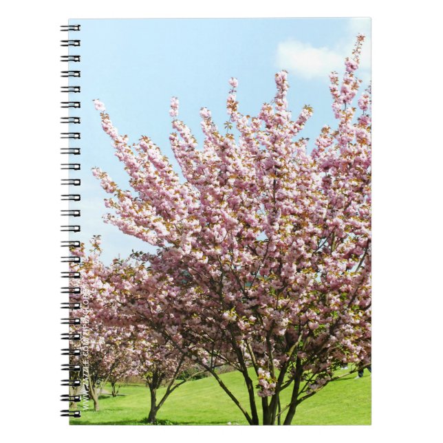 Körsbärsblomning Anteckningsbok Med Spiral (Framsidan)