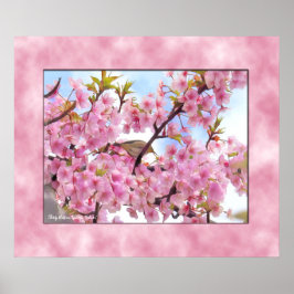 Körsbärsblomning "Kawazu-Zakura"-affisch Poster