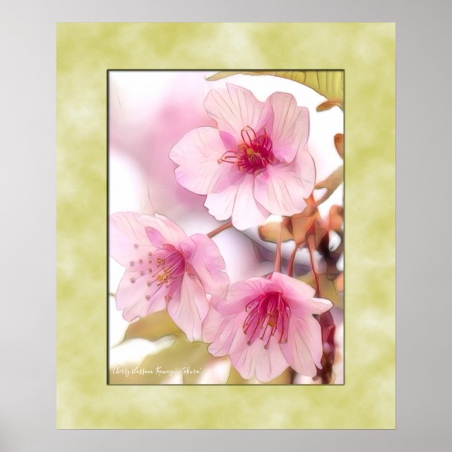 Körsbärsblomning "Kawazu-Zakura"-affisch Poster (Framsidan)