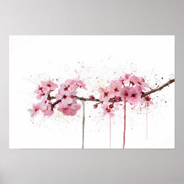 Körsbärsblomning Poster (Framsidan)