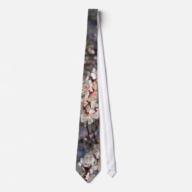 Körsbärsblomning Slips (Framsida)