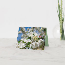 Körsbärsblomning. Tack Kort