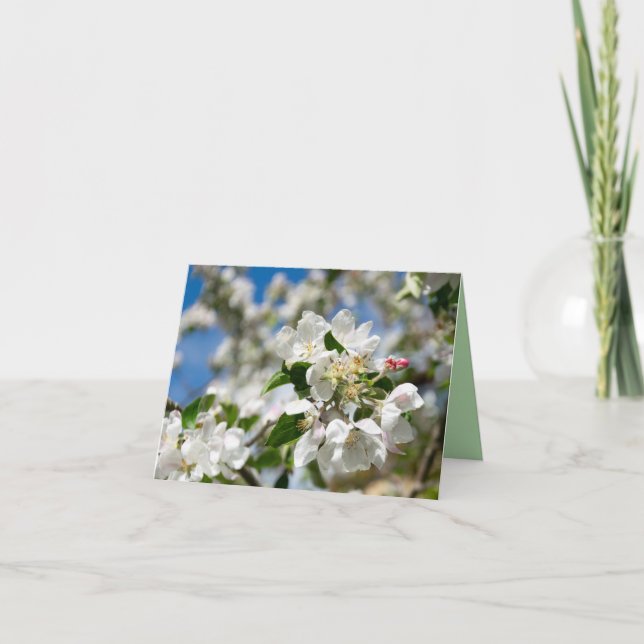 Körsbärsblomning. Tack Kort (Framsida)